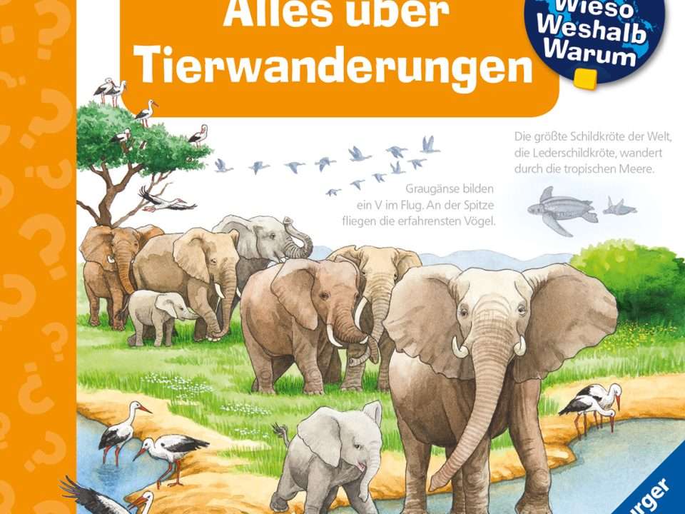 Kopie von ha3344 original