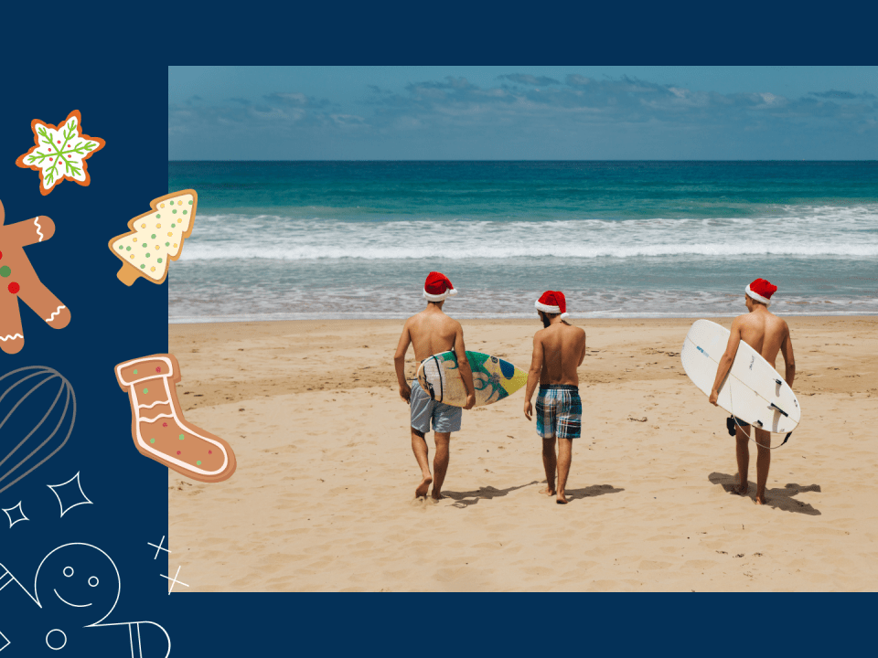 Bild Websitebeitrag bearbeitet