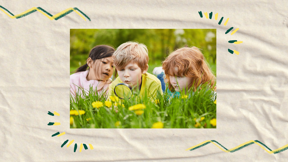 2025 03 05 Website Beitrag Wie Kinder digitale Apps nutzen koennen um den Garten zu entdecken