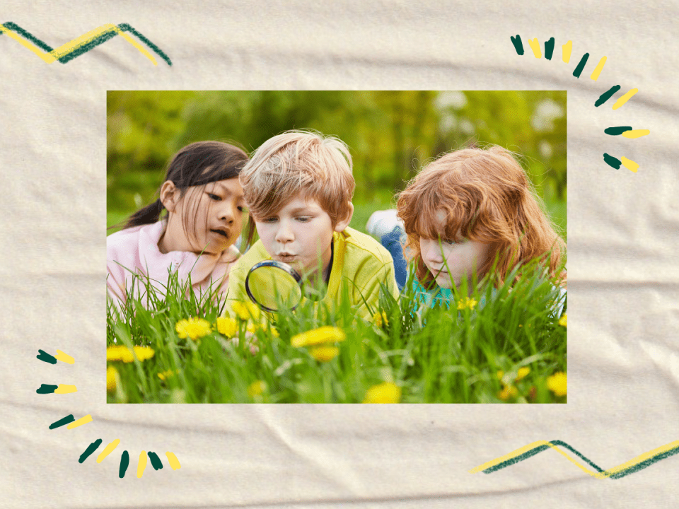 2025 03 05 Website Beitrag Wie Kinder digitale Apps nutzen koennen um den Garten zu entdecken