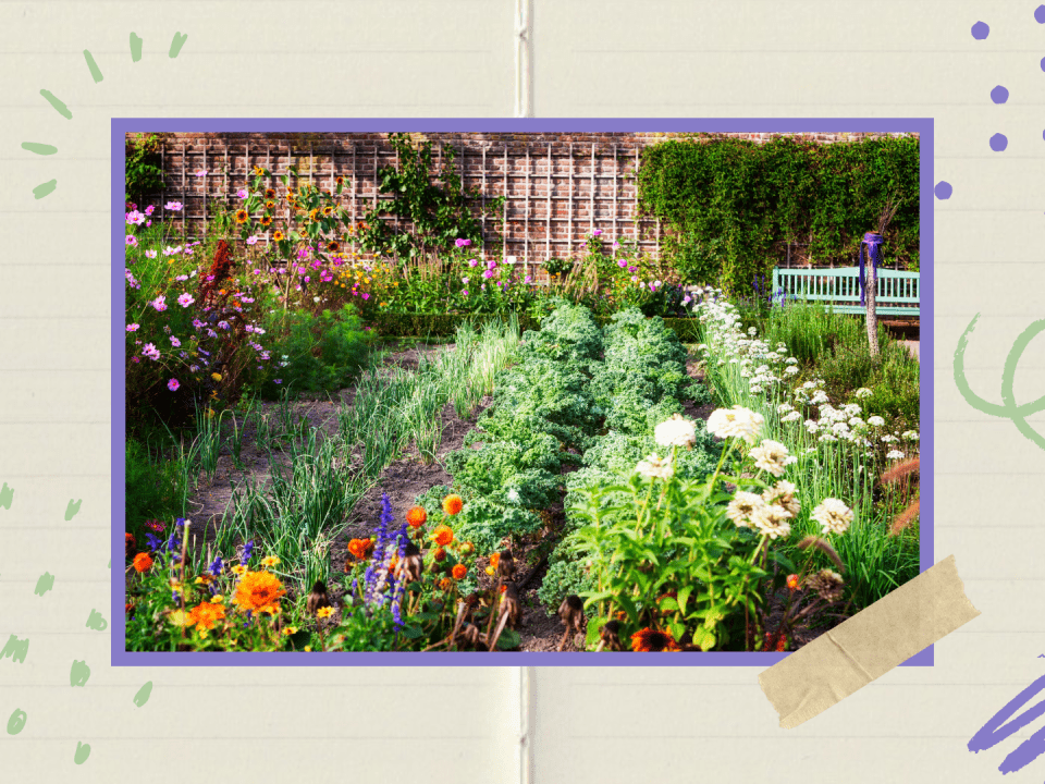 2025 03 19 Website Naturgaerten mit Kindern gestalten