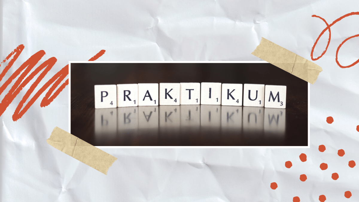 2025 10 22 Webseitenbild Berufspraktika an Schulen