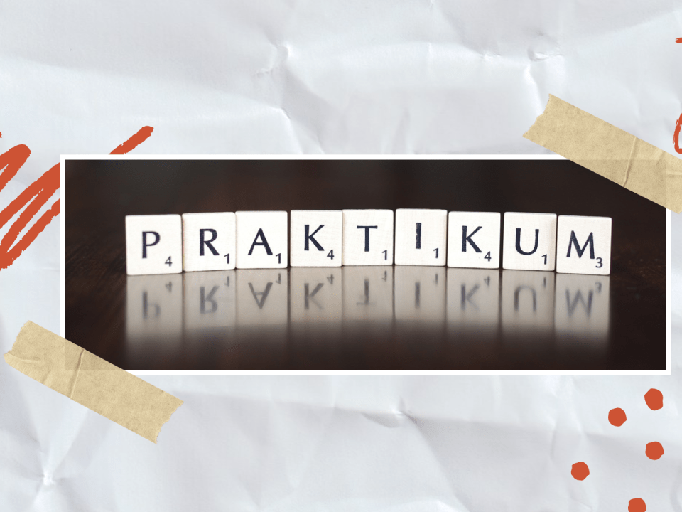 2025 10 22 Webseitenbild Berufspraktika an Schulen